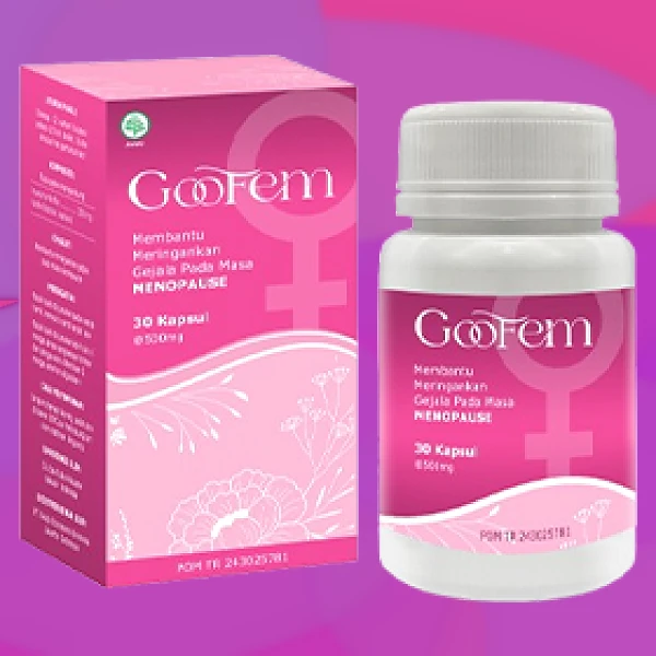 GOOFEM